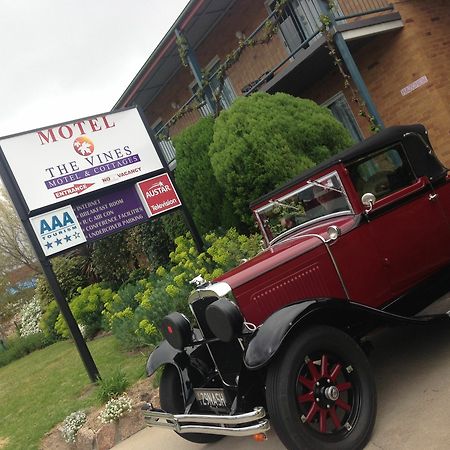 The Vines Motel & Cottages Stanthorpe Exteriör bild