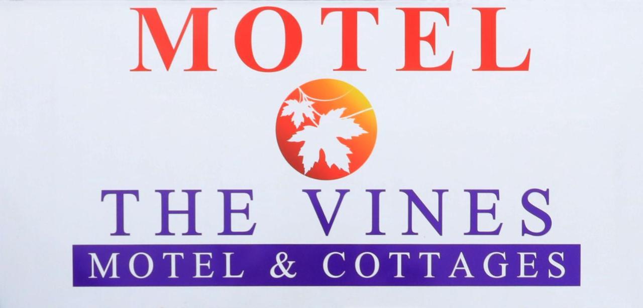 The Vines Motel & Cottages Stanthorpe Exteriör bild