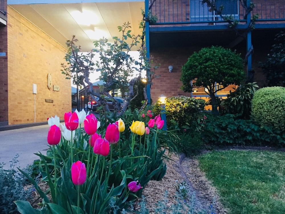 The Vines Motel & Cottages Stanthorpe Exteriör bild
